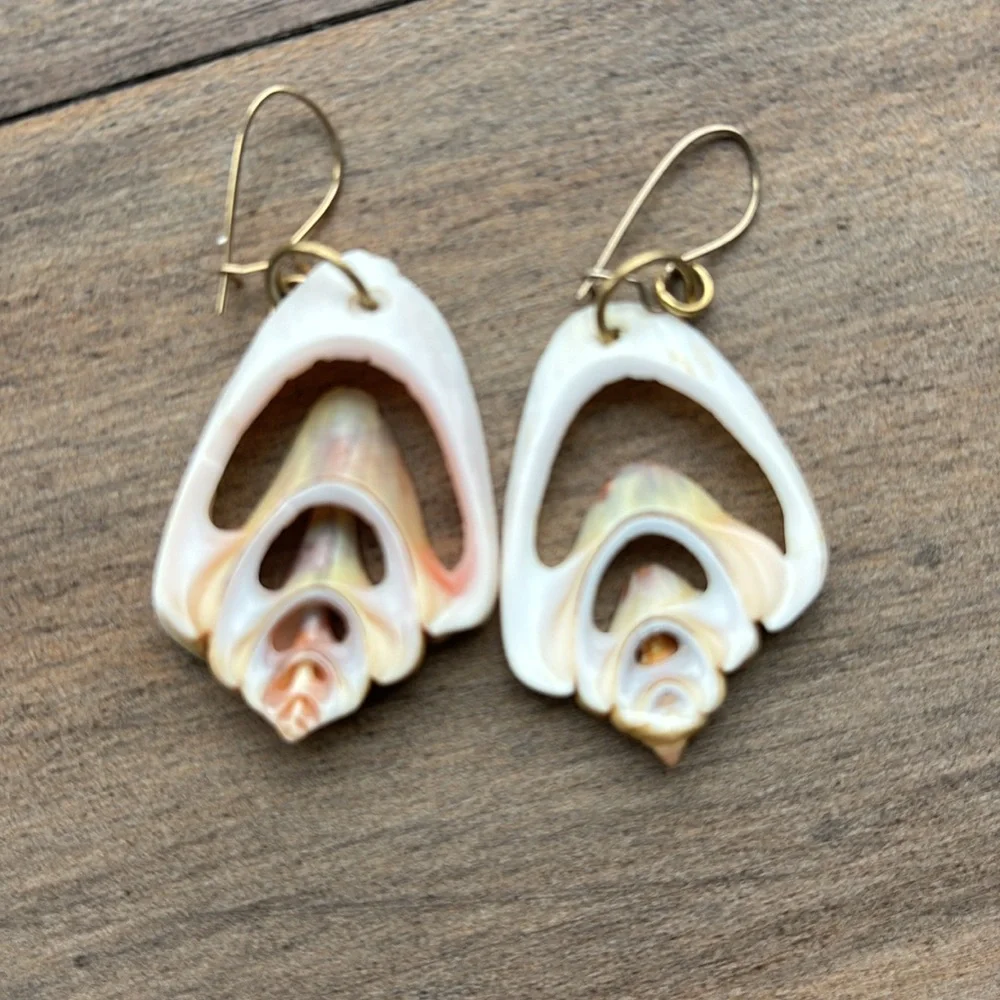 Seashell earrings